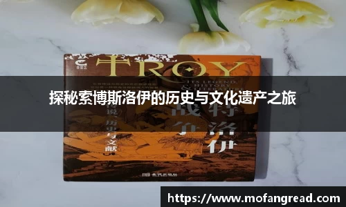 探秘索博斯洛伊的历史与文化遗产之旅